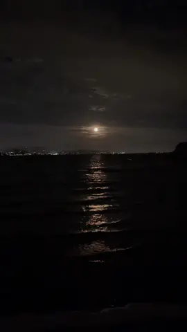 moonlight on the river #macdemarco 