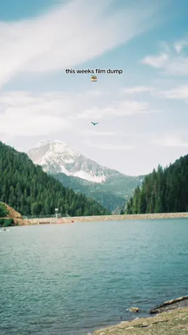 summer memories on film 🎞️ #filmdump 