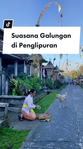 Selamat Hari Raya Galungan Sobat Pelipur Lara, beginilah suasana pagi hari di Desa Wisata Penglipuran 🤩 #wondefulindonesia #pesonaindonesia #penglipuran #penglipuranvillage #desapenglipuran #pariwisatabali #wisatabali #paketwisatabali #desaterbersihdidunia #galungan #harirayagalungan #galungandankuningan #fyp 