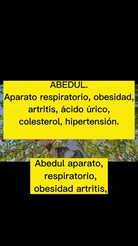 #longervideos! aparato respiratoto, acido urico, hypertension. 