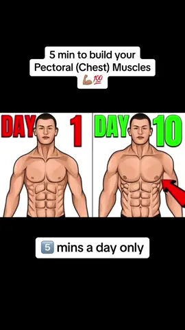 5 min a day to build your pectoral (chest) muscles 💪🏽💯 #muscular #sport #muscle #bodybuilder #viral #fyp #Fitness #gym #exercise #workout #5min #5minfitness #5minworkout #foryou 