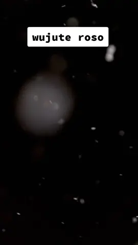 wujute roso #dinikurnia #banyuwangi #lagujawa #hits #fyp 