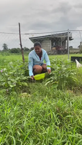 Ang mamuhay ng payapa at masaya. Salamat po, Lord.🥹 #farmlife #buhayprobinsya💖 #countrysidelifestyle🍂 #isaiah6022 