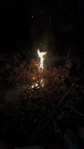 PLS GIVE CREDITS #fyp #shadowbanned😔 #fypシ #viral #backgroundvideo #facereveal? #darkaesthetic #fire 