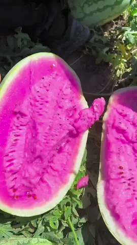 OMG😱so big?😋🍉#usa #fruit #asmr 