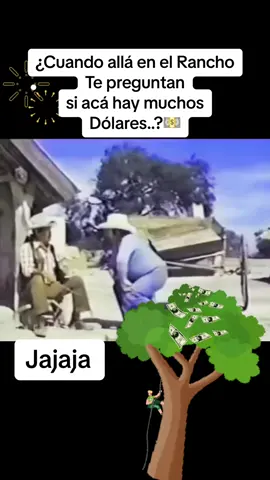 #culturarazamexicana🇲🇽♥️ #cuando #tepreguntan😊😊😊 #haymuchos #dollares💵 #fyp #sarcasmo👌😎 #😂😅🤣 