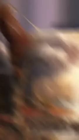 Prayer against pornography. #opulentgrace #wealth #freedom #beauty #grooming #truth #motivation #gospel #grace #fashion #finance #Fitness 