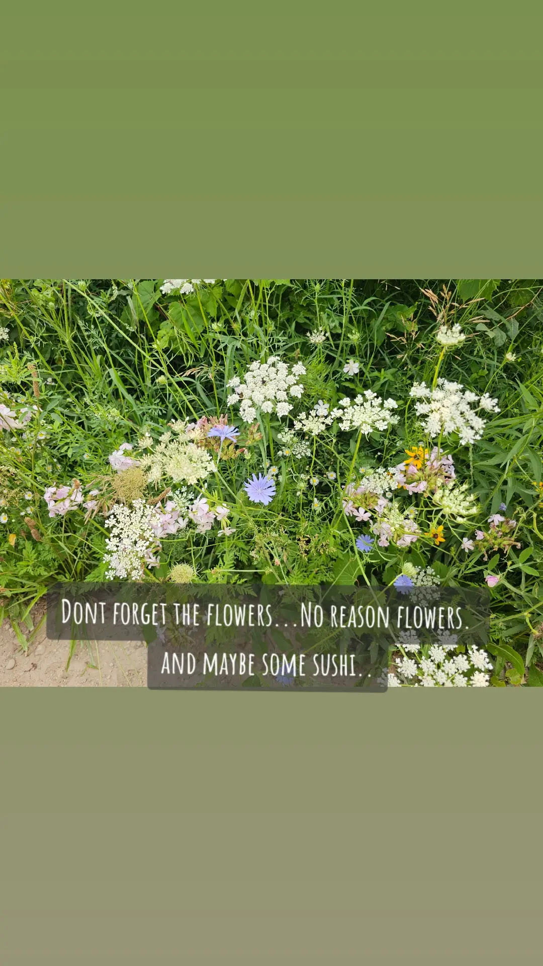 #flowers #Love #life #viralvideo 