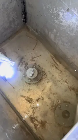 Candiru, o peixe que entra em qualquer orifício, e devora por dentro, pra tirar é problema.  #candiru #candirufish #tonipesca #tonipescador 