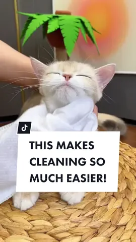 Get this Dry Cleaning Gloves today to clean your cat with ease! 🐈💫