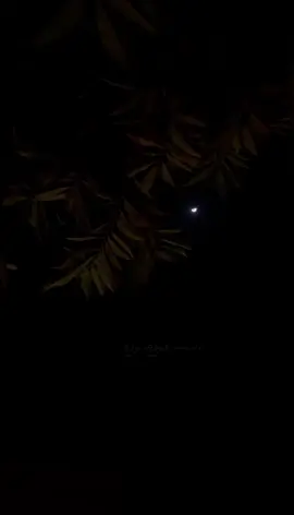 ولسه ياما هنودع ونتودع 💔