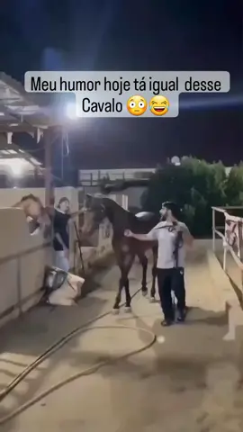 #tiktok #tik #tiktoknews #tiktokbrasiloficial🇧🇷 #tiktokbr #viralvideo #viral #cavalos #cavalos🐴 #coice #humor #estressadamesmo #irritada 