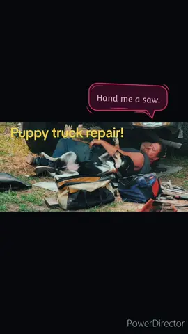 Puppy truck repair.  healthy happy animals lead to healthy happy people! #nature #offgridliving #smallfarming #automotive #DIY #automotive #pet #repair 