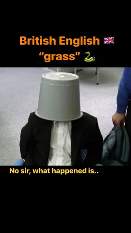 British English 🇬🇧 - “grass” 🐍  Grass can be a noun or a verb. It is synonymous with the word “snitch”.  Grass (verb) = to tell someone in authority that someone has done something bad or wrong.  For example - “He grassed on me to the teacher for cheating on my test.”  Grass (noun) = A person who informs an authority figure whenever another person does something bad or wrong.  For example - “Don’t tell that grass any secrets.”  #aprenderingles #english #learnenglish #inglés #nativeenglish #inglesentiktok #inglesfacile #britishenglish #slang #inglesbritanico #ingles #英語の勉強