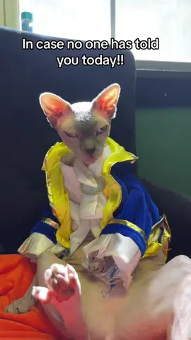 ❤️ #sphynx #cat #pets #postmalone 