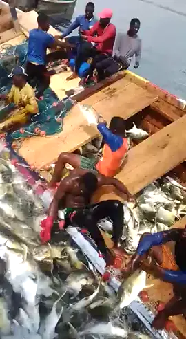 Time with the fish man !! Finally the band have been lifted and we are back in business 🔥💥🎣🐟🐠