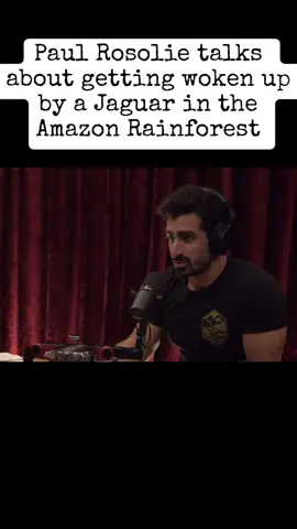 Pt 19 of Paul Rosolie on the Joe Rogan Podcast Paul Rosolie is a multi-talented individual who has made significant contributions in the fields of conservation, filmmaking, and writing. He is renowned as a conservationist, specifically for his efforts in conserving the Amazon rainforest. He is the founder of Jungle Keepers, an organization focused on environmental protection and preservation efforts. As a filmmaker, Paul Rosolie has used his skills to raise awareness about conservation issues. Moreover, he is also known as the author of the book 