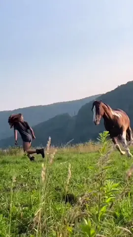 #رفت_رفت_عيني_تريد_تشوفو💓 #خيل #تصاميم_فيديوهات #foryoupage #viral #foryou #foryou #fyp #explore #fpyシ 