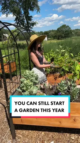 I don’t want you to miss your chance to grow veggies this year 🫑🥕🍅 but if you’re gonna plant a vegetable garden this fall you need to get your seeds now! Check the link in my bio for my favorite seed company 💚 #veggiegarden #vegetablegardens #growingveggies #AD