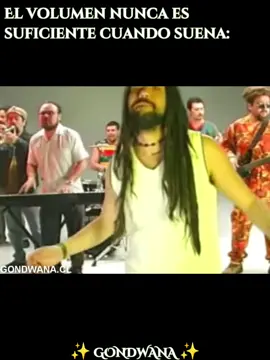 Felicidad, eso es lo que tú me das, felicidad, cada mañana al despertar 🎶 #gondwana #gondwanafelicidad #gondwanakoytur750 #gondwanarecords #yyyyyyyyyyyyyyyyyy #yyyyyyy #yyyyyy #old #yyy #yy #y #reggae #chil #chileno #felicidad #felicidadgondwana 