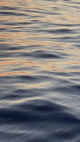 In love 🫶🏼 #mallorca #foryoupage #fyp 