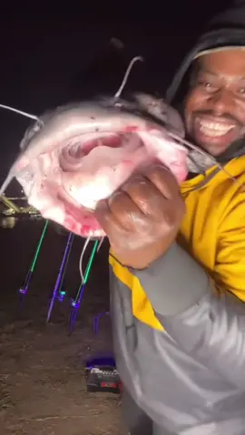 This is why i love to use Big Baits to Catch Big Fish #fishing #fishinglife #fisherman #bigfish 
