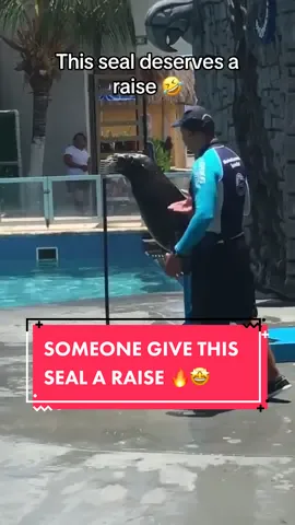 This gets our seal of approval 👍🏼 via: jennprobola/ig