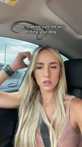 When he’s in the back seat the difficulty level goes 📈 #dogs #dogtok #funnydog #foryou #dogsoftiktok 