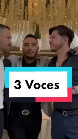 Voces de Banda Fresa, Banda El Pueblito y Banda Saucillos cantando a 3 voces fragmento de Mi Fantasía #Acapella 