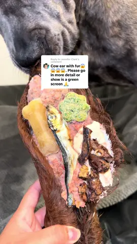 Replying to @Jennifer Clark have you ever fed your dog a furry cow ear? #dogchews #dogtreats #naturaldogtreats #chewtoysfordogs #teethingdog 
