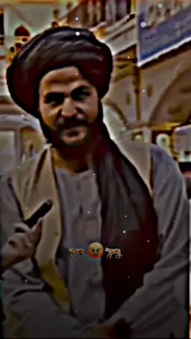 This is the land of lions 🐅🐯💪 #newtrend #pashto #viralvideo #tiktok #peshawar #14august #afghanistan🇦🇫 #foryoupage #viraltiktok #aasif_typist 