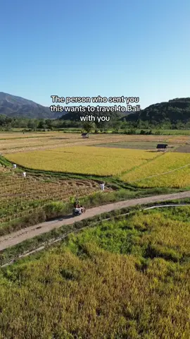 If you have no one to go with go alone🫶 #bali #travel #indonesia 
