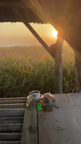 lagu e syahdu karo delok semset prot ☕️