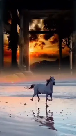 #قررت_احبك_على_المكشوف♥️♥️ #اكسبلور_explore #مشاهير_تيك_توك_مشاهير #مشاهير_تيك_توك_مشاهير_العرب #CapCut 