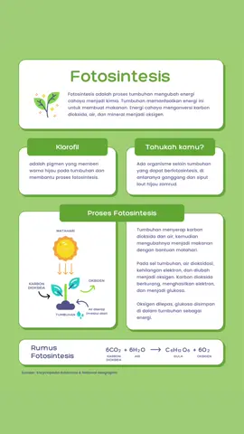 Sahabat belajar udah pada paham belum mengenai fotosintesis? Yuk kita belajar bareng ✨🙌🏻  #TikTokImpact #sahabatbelajar #belajarbareng #ipamenyenangkan 