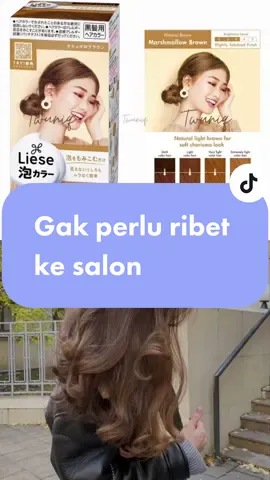 Hemat waktu + hemat uang #catrambutbubble#catrambutdirumah#liese#haircolorjepang