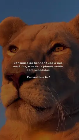 #CapCutMotivacional #palavradedeus #foco #gratidaoadeusportudo 