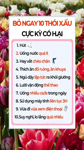 Những thói quen không tốt cho sức khoẻ mà bạn tránh, đừng bao giờ nên có. #meodangian #meohay #thoiquenxau  #suckhoe #kienthucsuckhoe #songkhoemoingay #xuhuong 