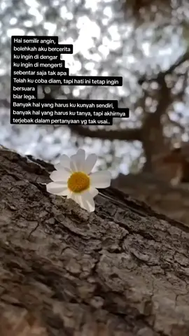 #sepenggalsajak #fyp #beranda #sajak #tiktoknews #katahati 