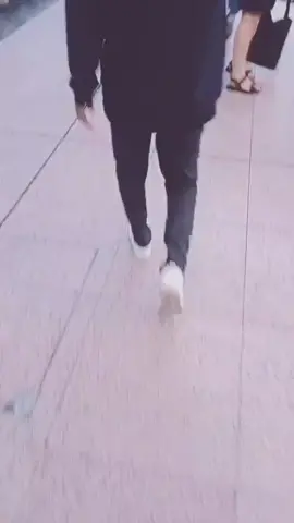✨