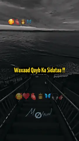 #Mubaarik_Lyrics   ( Xariir Heesihiisa Mid Aan Kasoo Dhigo iisoo Sheeg ) 🦋♥️🥰  #foryou #fouryourpage 