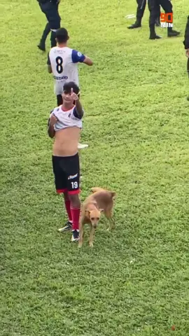 Nada tão único quanto a instituição cachorro caramelo em campo 🤣🤣🤣 #tiktokesportes #tiktoksports #futebolmemes #futebolmemesbrasil #futebolzoeira #futebolzoeiro #futebolzoeiras #futebolengracado #footballfunny #footballfunnymoments😂 #lancesengracados #lancesengracadosdofutebol