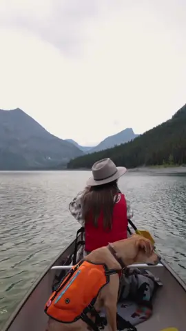 Canoe ✔️ Tent ✔️ SubZero puppy food ✔️