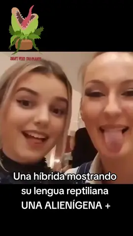 #angelescaidos #demonios #aliens #mialiensfavorito #area51 #invasionextraterrestre 