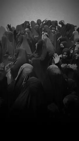 فلما رأين النساء جوادك مخزيا #نحيب #الزيارة_الناحية_المقدسة 