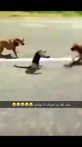 #الامارات_العربية_المتحده🇦🇪  #الشعب_الصيني_ماله_حل😂😂 #اكسبلورexplore #ضحك_وناسة #الرياض❤️ #ضحك😂 