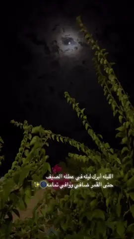 #اكسبلور 
