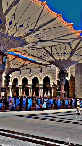 اللهم صل وسلم عليك ياحبيبي يارسول الله❤️#مراد_الروح #محمد_نجاتي_شاشماز #وادي_الذئاب #murad_alroh_22 