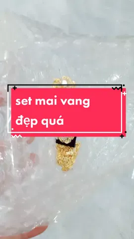 Set mai vang đẹp quá #xuhuong 