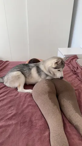 What are you doing, Merida? 🦦 #fyp #foryou #foryoupage 